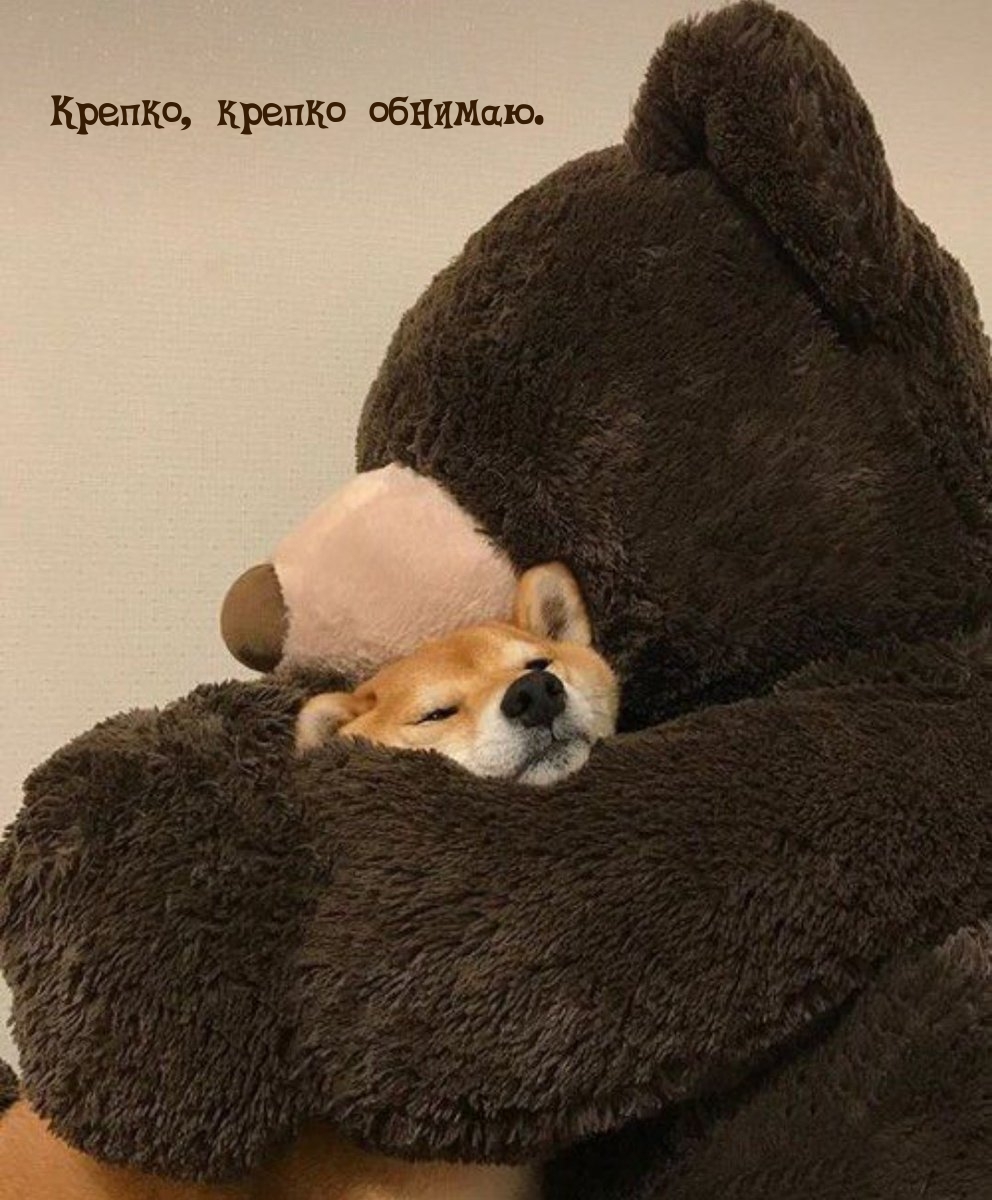 ������, ������ �������.