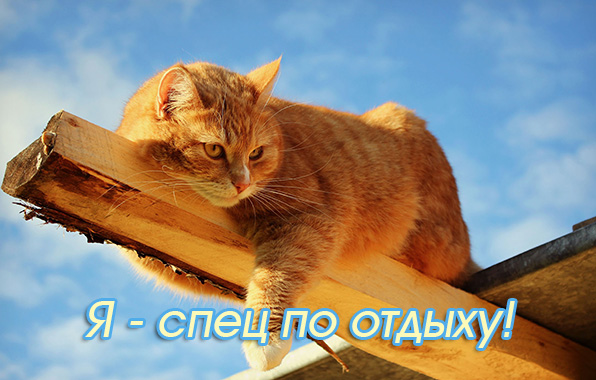 � - ���� �� ������! � �������