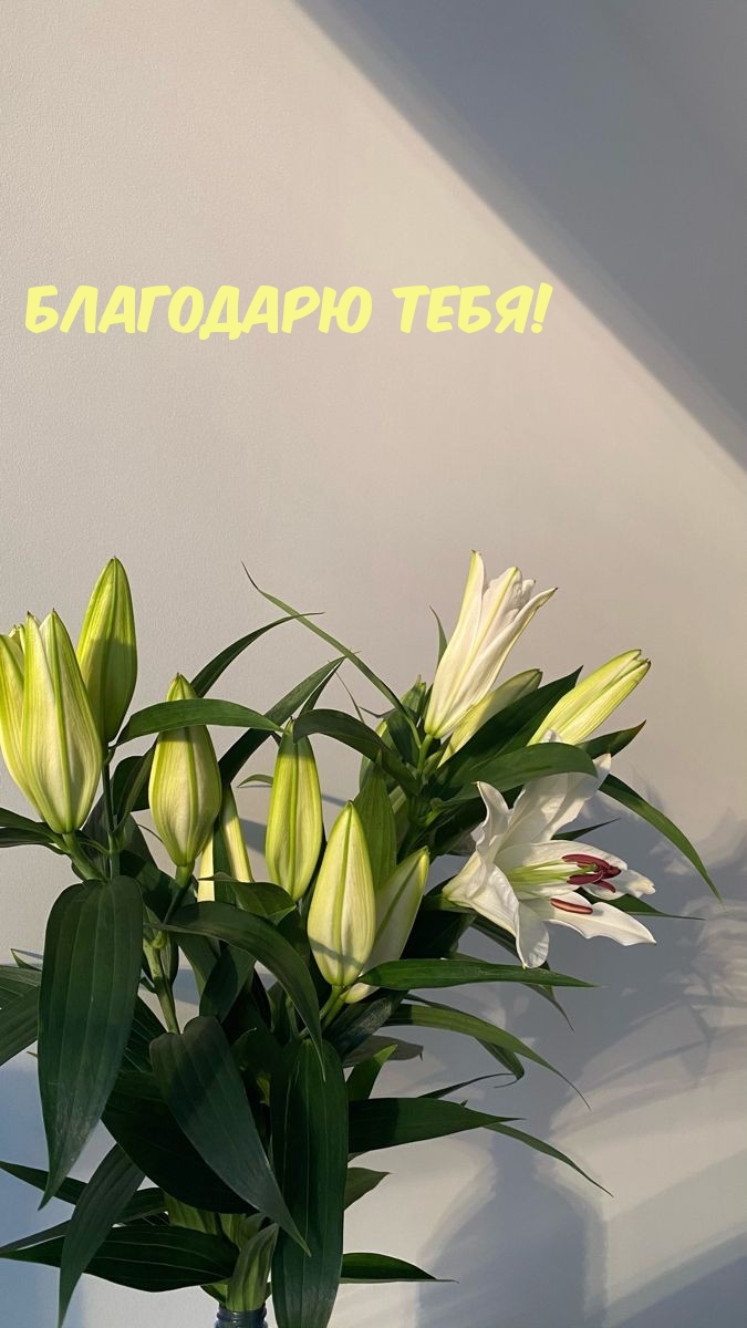 Обсудите картинку Благодарю тебя! С цветами.