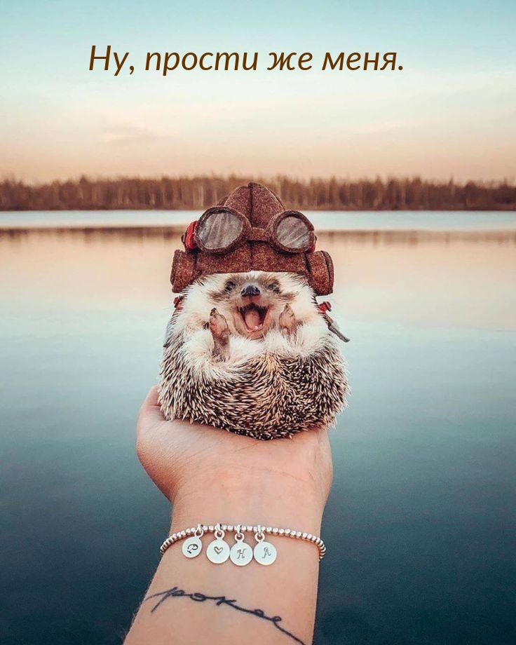 ��, ������ �� ����.