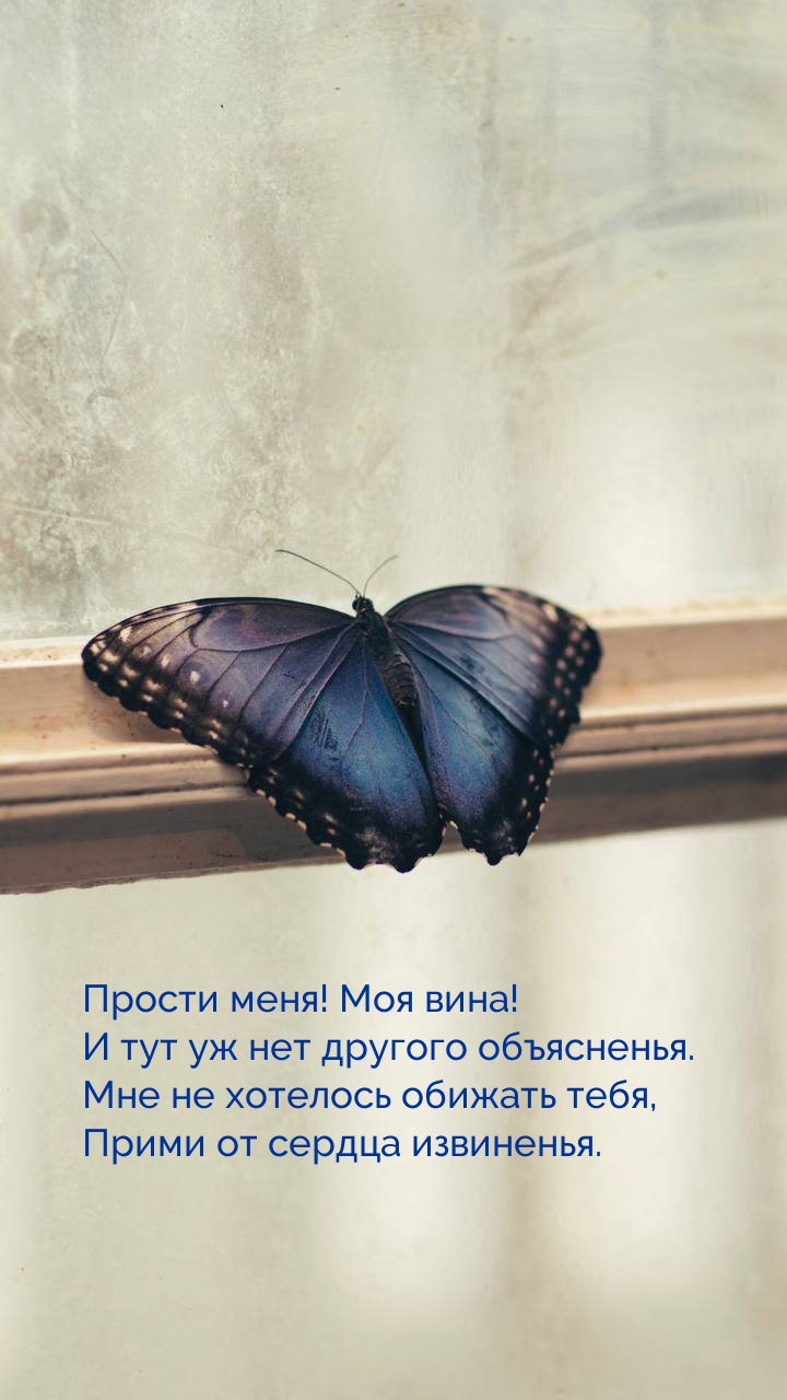 Прости меня! Моя вина!
