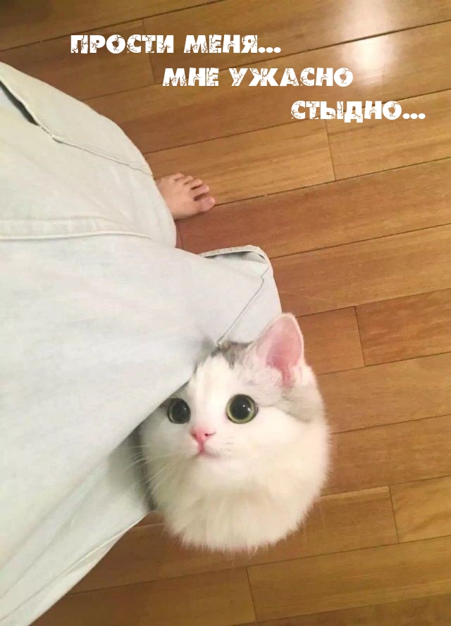 ������ ����... ��� ������ ������...