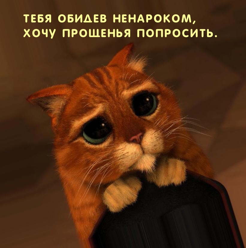 Обсудите картинку Тебя обидев ненароком, хочу прощенья попросить..