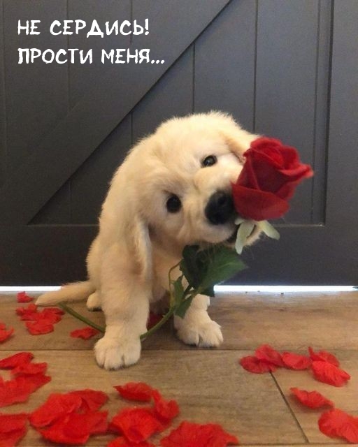 �� �������! ������ ����...