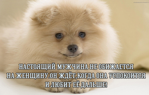 ��������� ������� �� ��������� �� �������