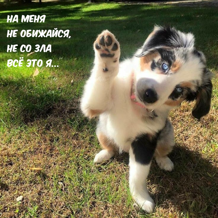 �� ���� �� ��������, �� �� ��� �� ��� �...