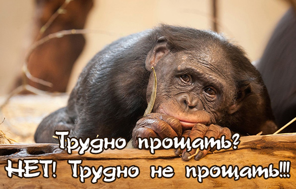 ������ �������?