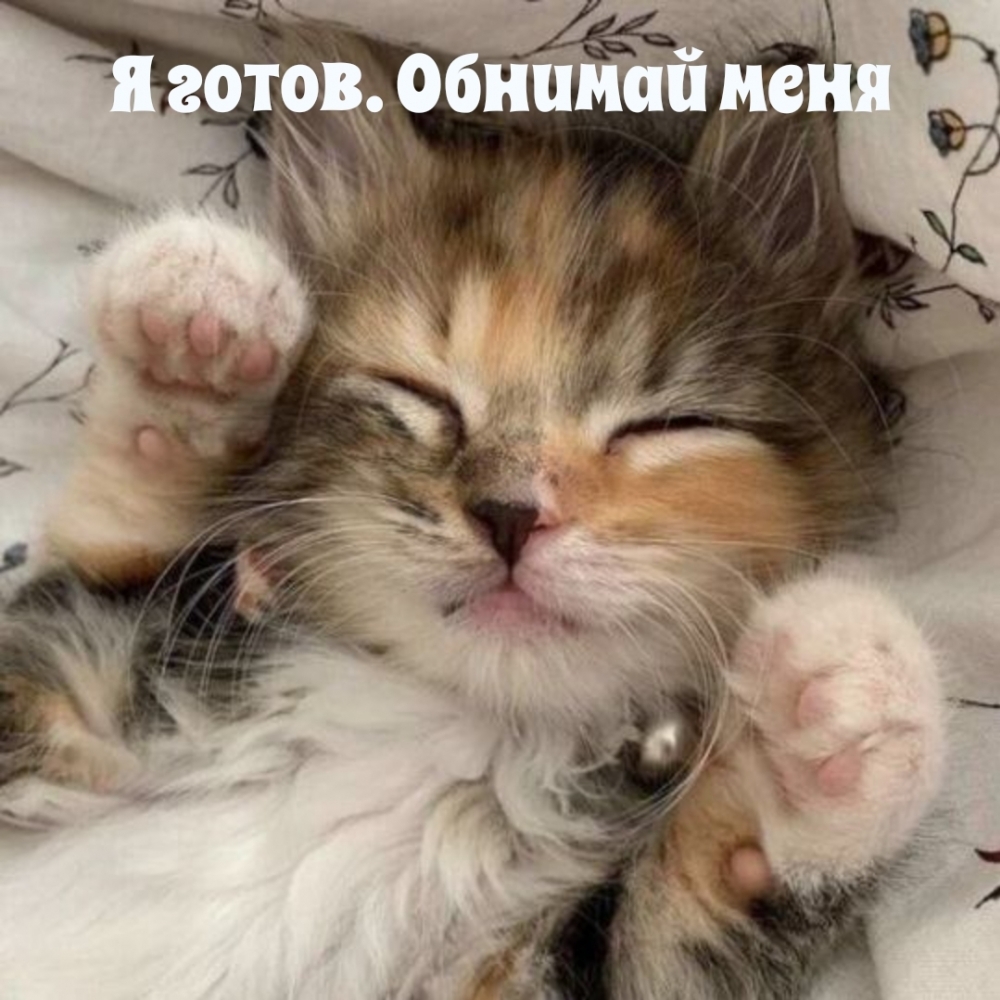 � �����. ������� ����!