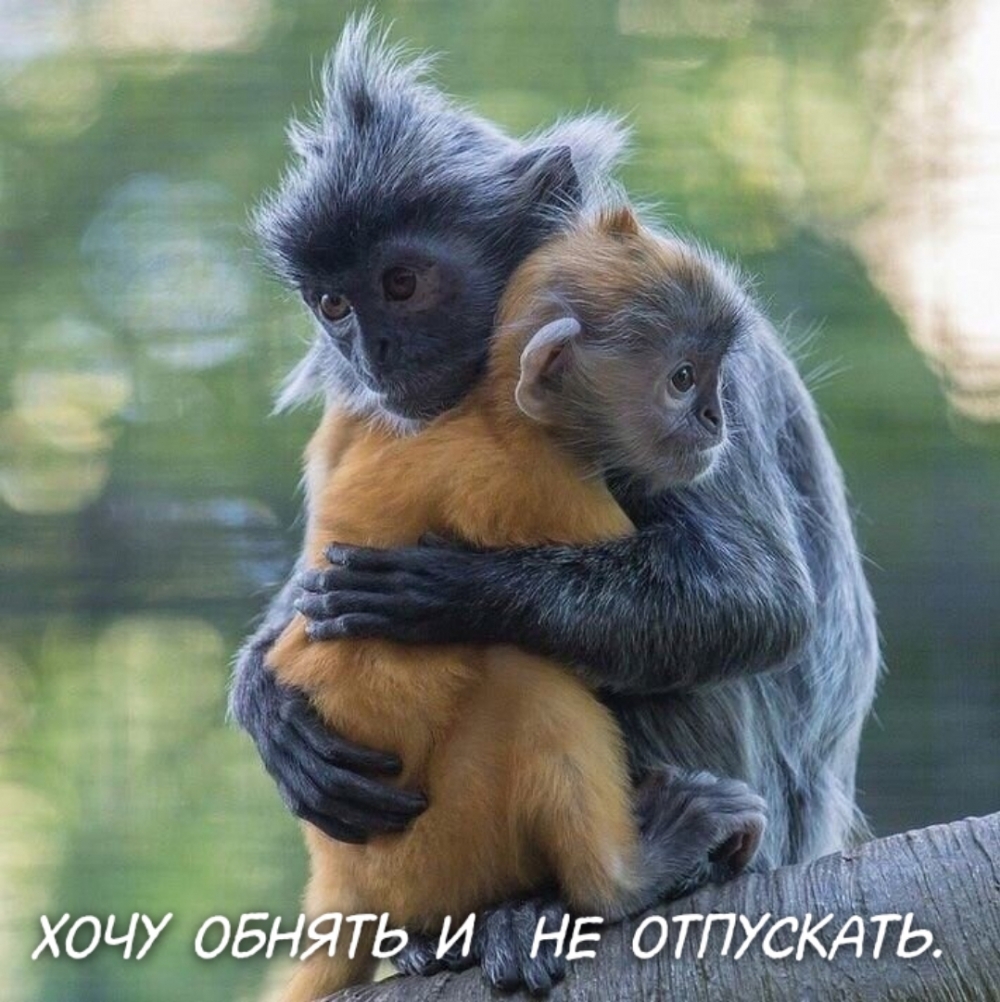 ���� ������ � �� ���������.