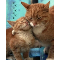 �������