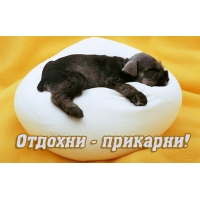 ������� - ��������!