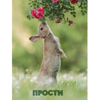 ������
