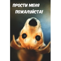 ������ ���� ����������! � ��������