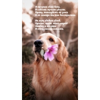 � ������� ���� ����, � ������� ������ ������.