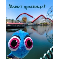 ����� ��������?