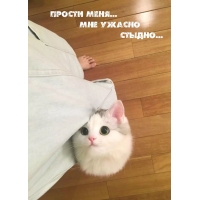 ������ ����... ��� ������ ������...