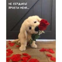 �� �������! ������ ����...