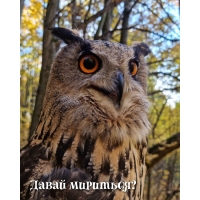 ����� ��������?