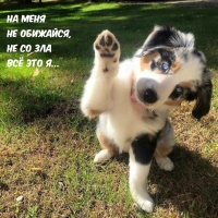�� ���� �� ��������, �� �� ��� �� ��� �...