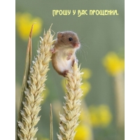 Прошу у Вас прощения.